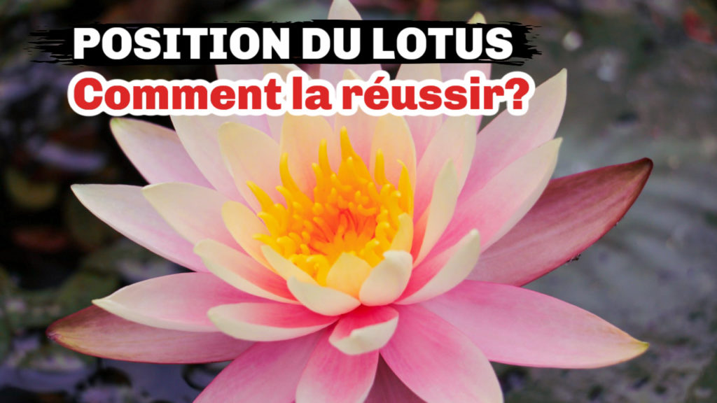 Comment réussir la position du lotus sans erreurs?